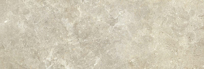 ATRIUM BROWN 20х60 /Атриум