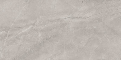 BAYONA SILVER MATT 60x120 /Байона