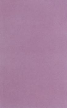SPIRIT MALVA 25x40