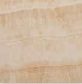 ARAZ HONEY RC 60x60 / Араз