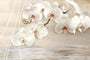 ONICE DECORADO IRYNA 25х75