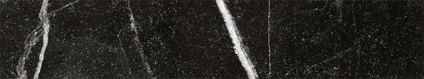 TINOS BLACK 8х44 /Тинос