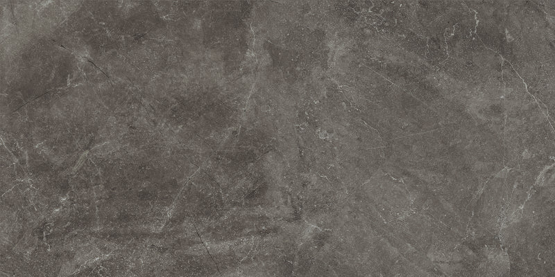 BAYONA GREY MATT 60x120 /Байона