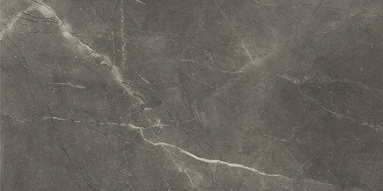 BAYONA GREY POLIDO 60x120 — формат