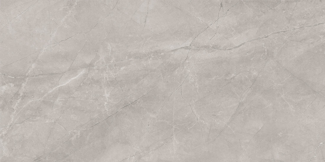 BAYONA SILVER MATT 60x120 /Байона