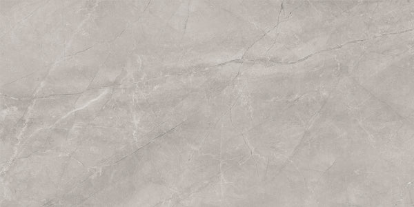 BAYONA SILVER MATT 60x120 /Байона