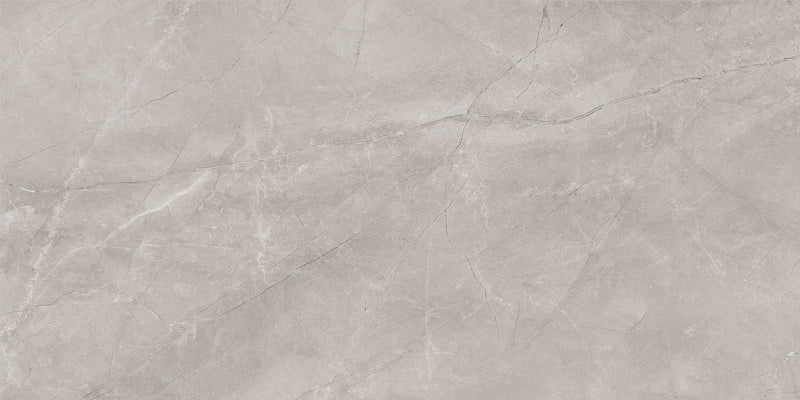 BAYONA SILVER MATT 60x120 /Байона