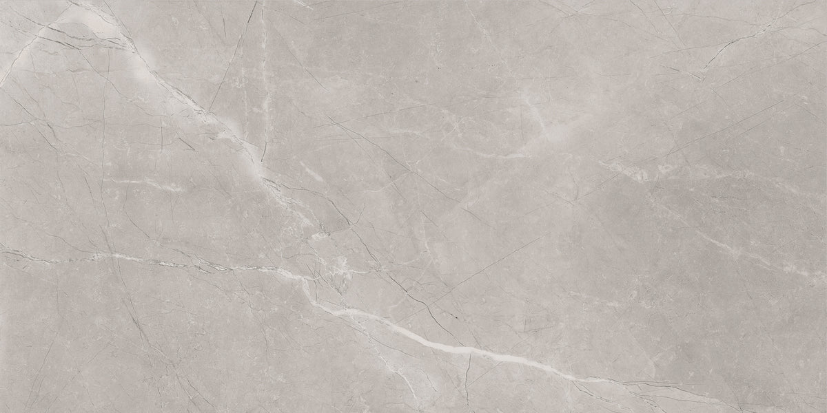 BAYONA SILVER MATT 60x120 - плочка вариация