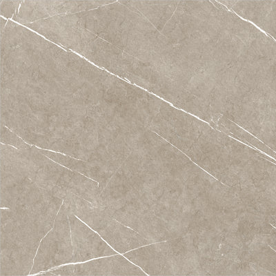 ETERNAL TAUPE 60x60 /Етернал
