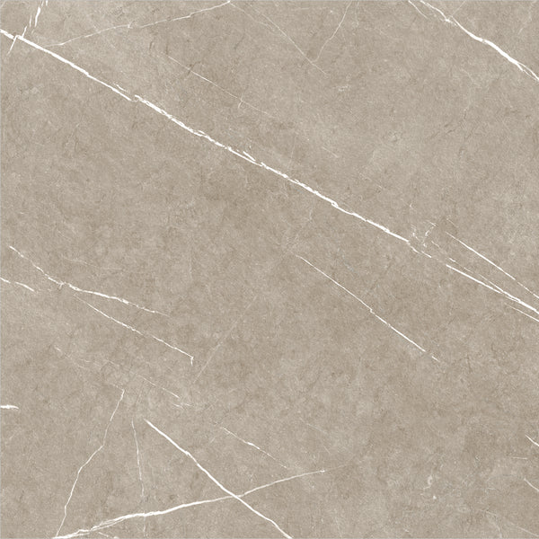 ETERNAL TAUPE 60x60 /Етернал