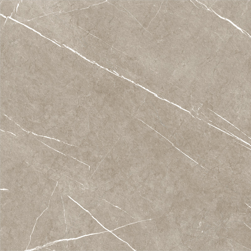 ETERNAL TAUPE 60x60 /Етернал