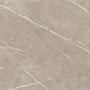 ETERNAL TAUPE 60x60