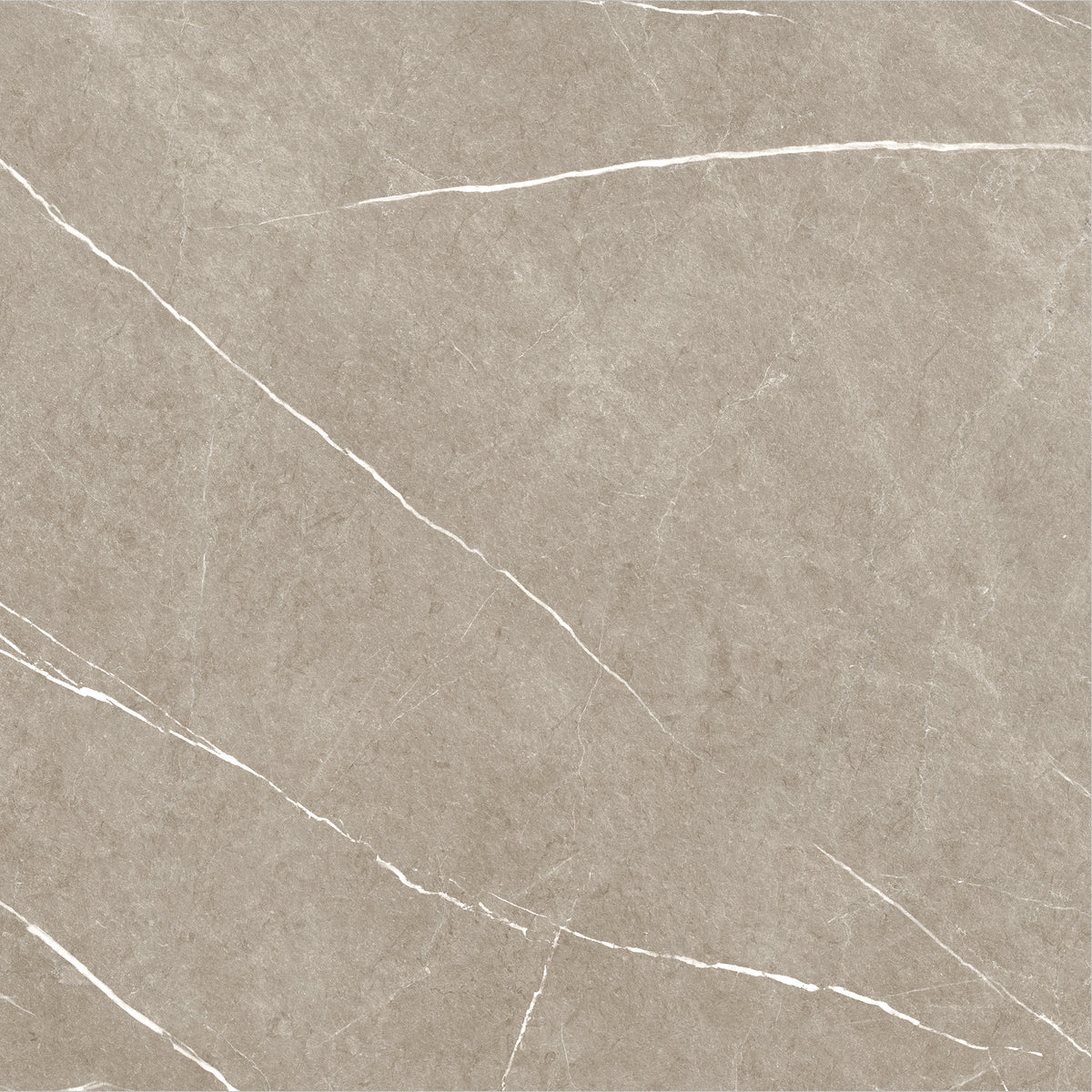 ETERNAL TAUPE 60x60 - плочка вариация