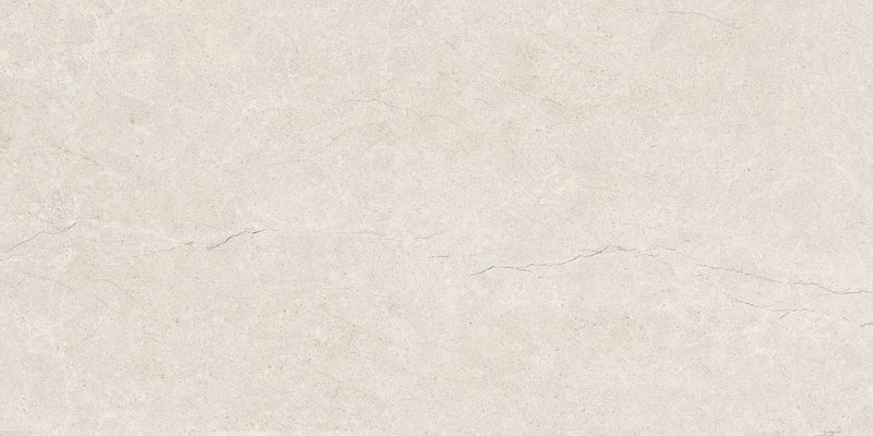 BELSTONE GREY 60x120 /Белстон