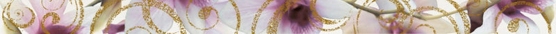 COLORGLOSS CENEFA ORQUIDEA 5х75 /Колорглос