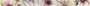 COLORGLOSS CENEFA ORQUIDEA 5х75