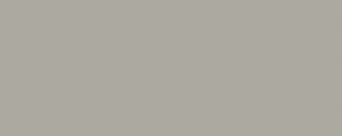MARNA GRIS 20x50 /Марна