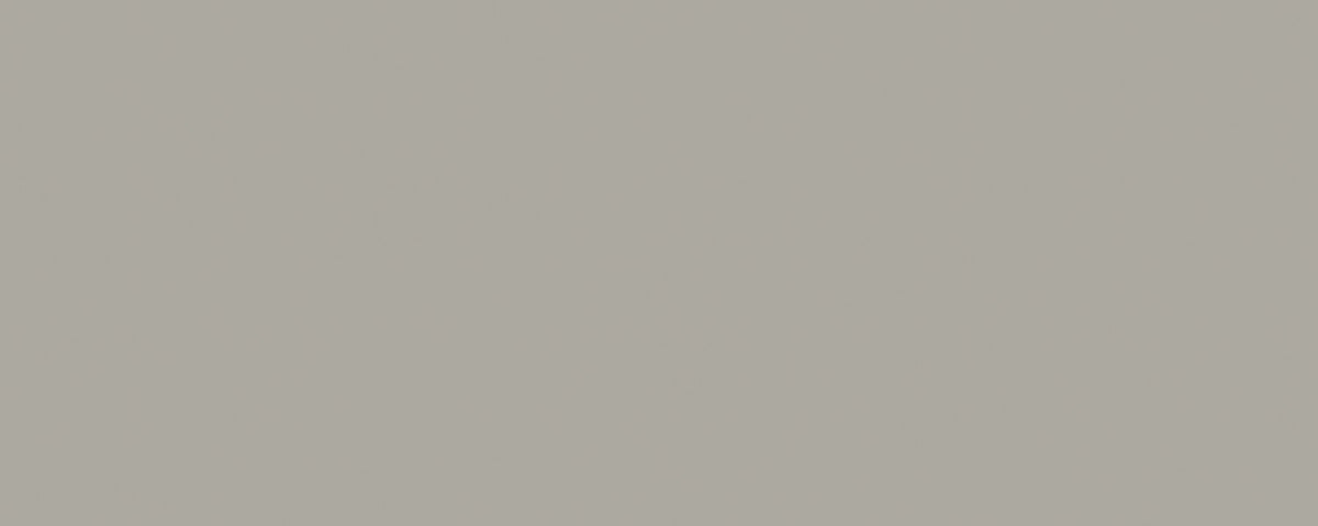 MARNA GRIS 20X50