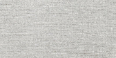 TOULOUSE GREY 25x50 /Тулуз