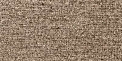 TOULOUSE TAUPE 25x50 /Тулуз