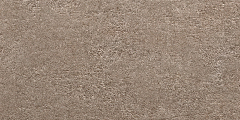 LIGHT STONE TAUPE 25x50 /Лайт стоун