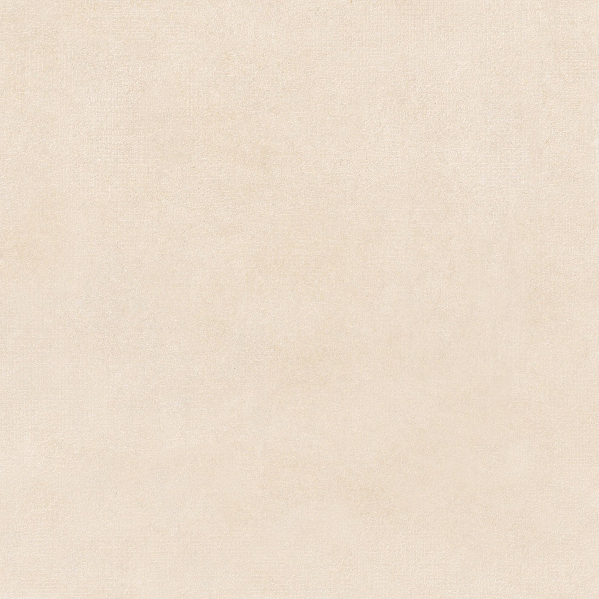 STANDARD ARENA 45X45