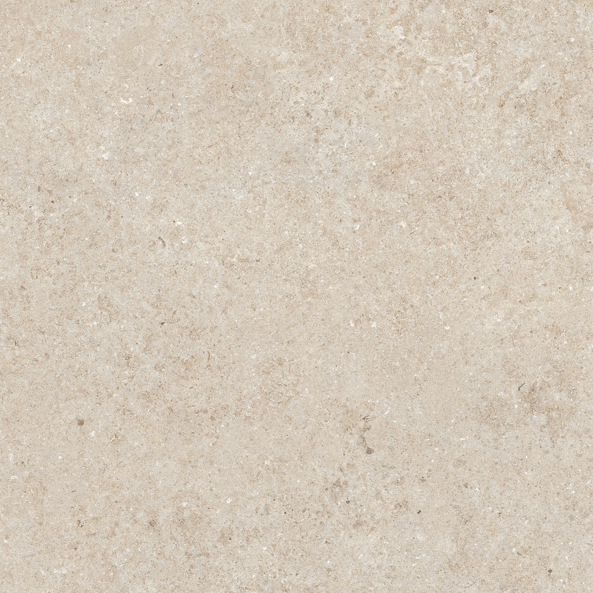LANDART60X60 LANDART NUT 8433019317777