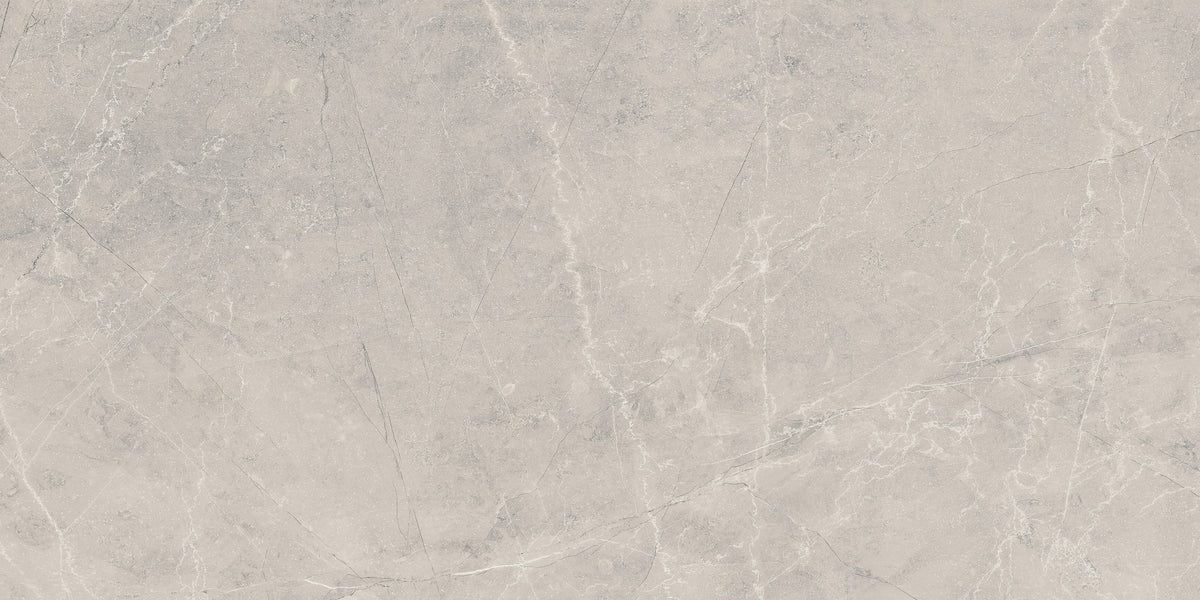BAYONA SILVER POLIDO 60x120 - плочка