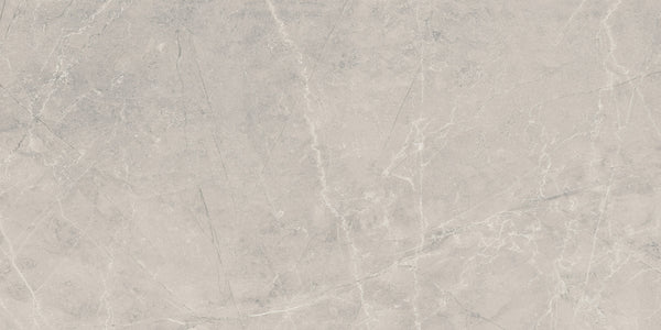 BAYONA SILVER POLIDO 60x120 /Байона