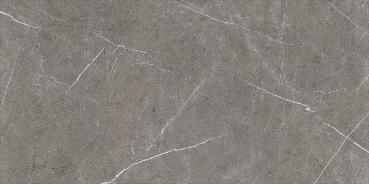 ETERNAL DARK NATURAL 60x120 - плочка