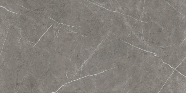 ETERNAL DARK NATURAL 60x120 /Етернал