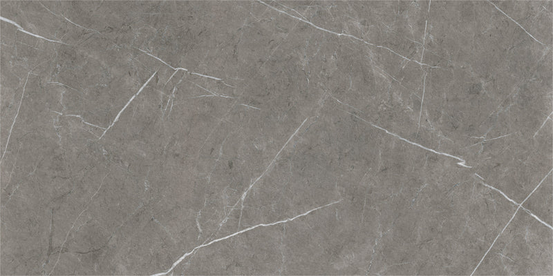 ETERNAL DARK NATURAL 60x120 /Етернал