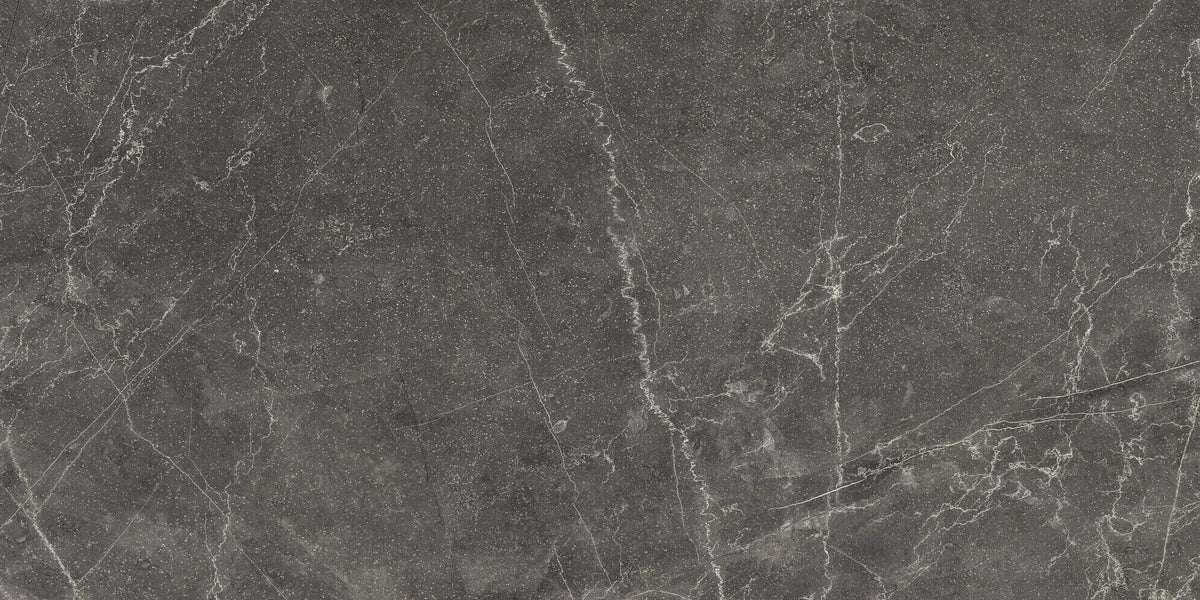 BAYONA GREY POLIDO 60x120 - плочка вариация