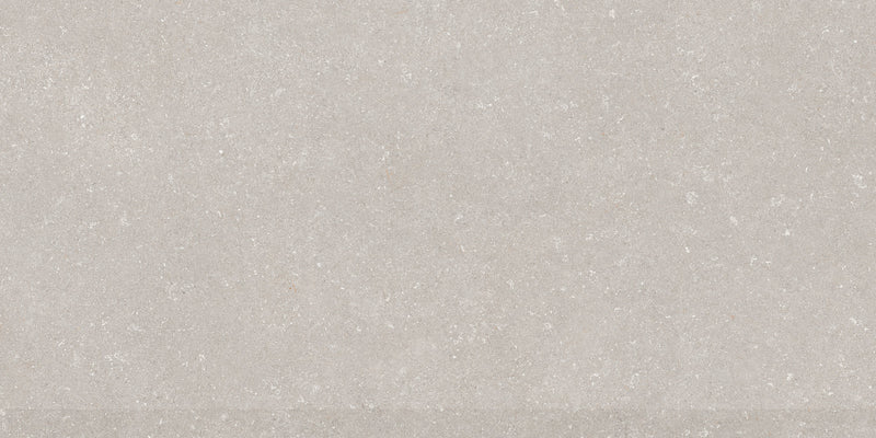 BRERA GREY 60x120